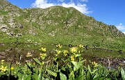 89 Altro laghetto di Montebello (2272 m)